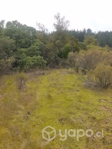 Sitio 5000m² - Imagen 7