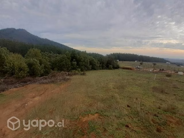 Sitio 5000m²