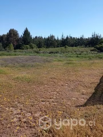 Parcela 5.600 mts 2 - Imagen 15