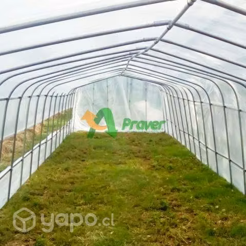 PRAVER invernadero x8 m de ancho PRAVER