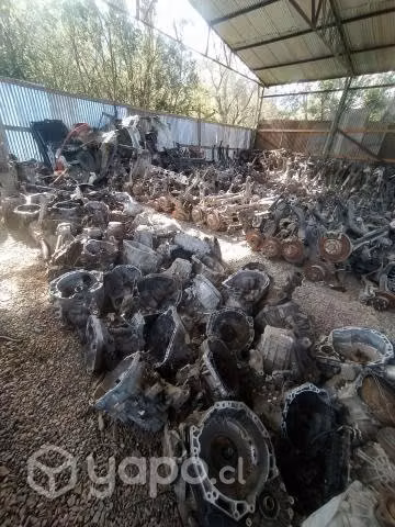 Gran variedad de cajas de cambio - Imagen 2