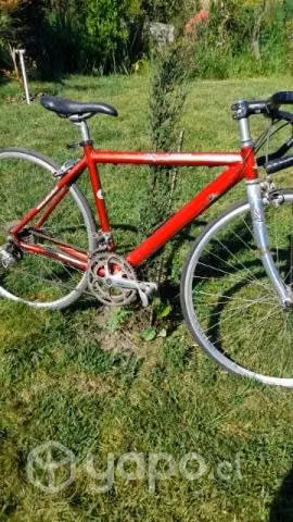 Bicicleta - Imagen 4
