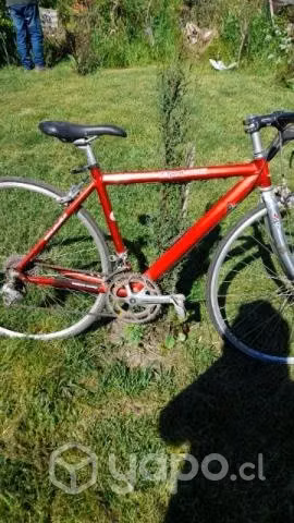 Bicicleta - Imagen 3