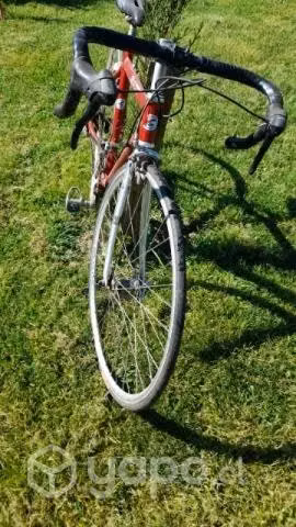 Bicicleta - Imagen 2