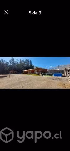 parcela vicuña