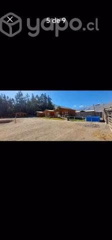 parcela vicuña