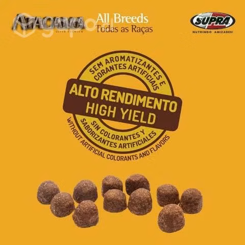 Atacama All Breeds 20 kg