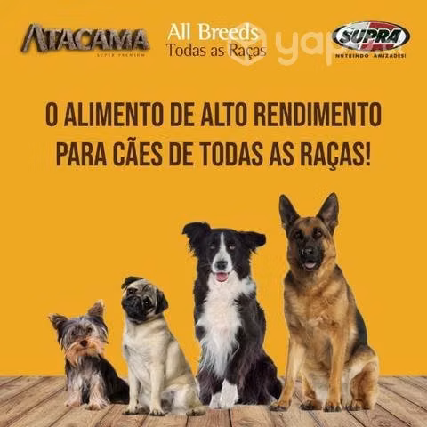 Atacama All Breeds 20 kg