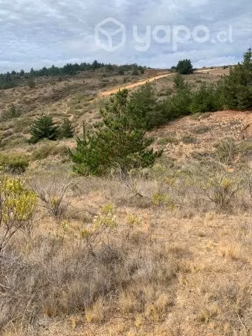 Venta de terreno sector bucalemu 23.000.000