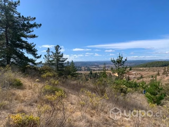 Venta de terreno sector bucalemu 23.000.000