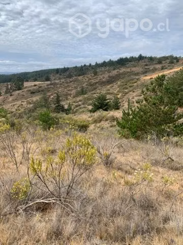 Venta de terreno sector bucalemu 23.000.000