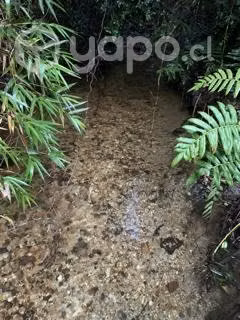 Parcela 5000 m2, Con estero y ROL Propio