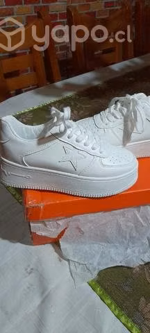 zapatillas