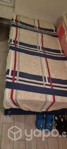 Cama