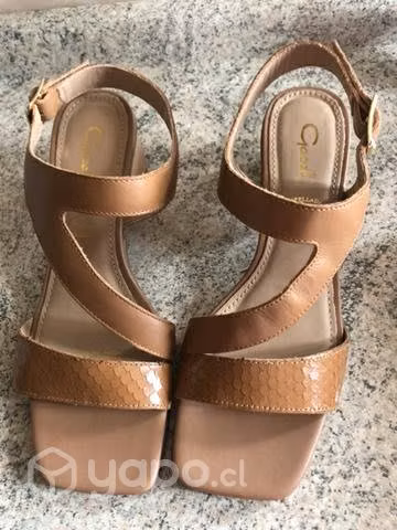 Lindas chala gacel nueva n38