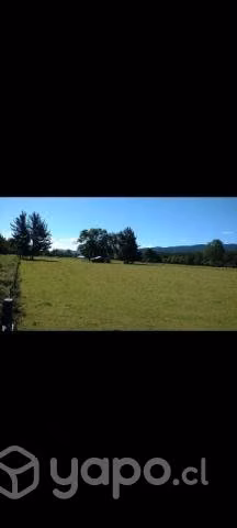 Parcela - Imagen 2