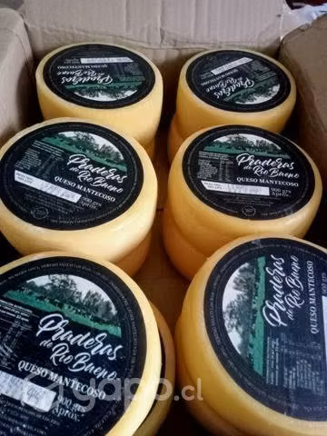 Queso mantecoso de Río Bueno a 10 mil la pieza