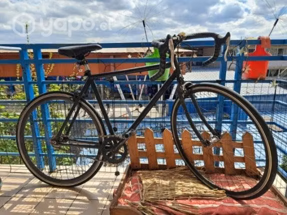 Bicicleta fixie