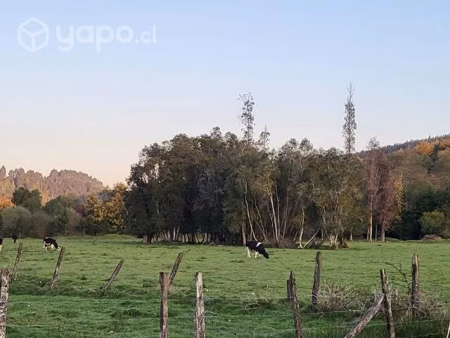 Parcelas a la venta orilla de carretera