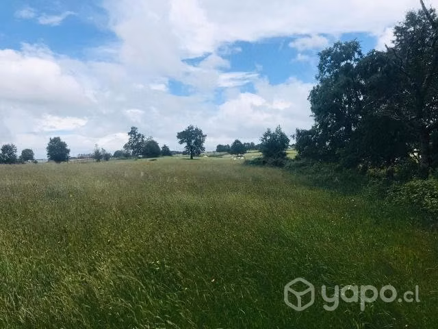 Campo agricola 22 ha rio negro - Imagen 2