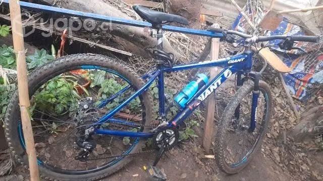 Bicicleta Giant