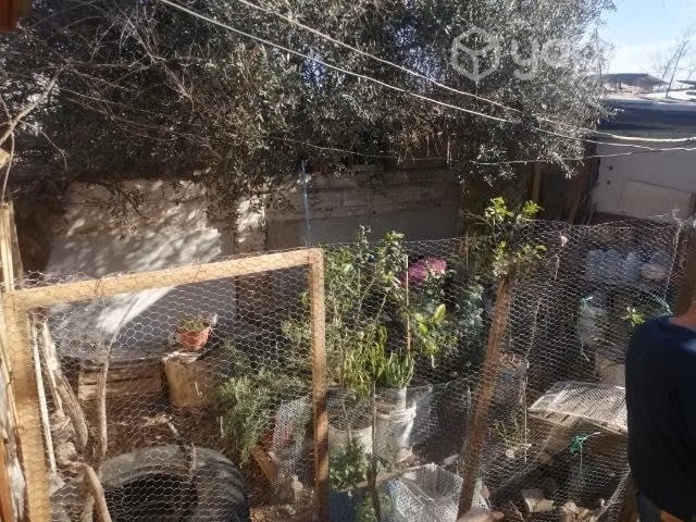 Terreno en el bosque cercano al límite de la cis