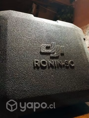Ronin SC
