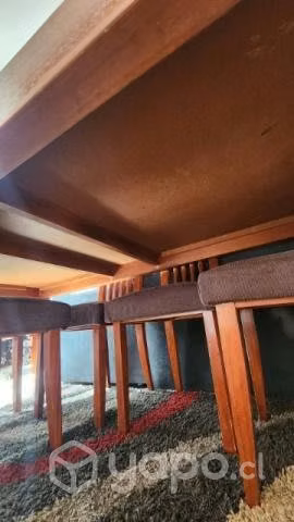 Comedor y arritmo