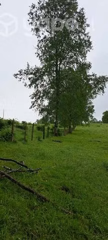 Se vende hermoso campo de casi 3 hectáreas (2,4)