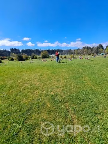 terreno parque san pedro