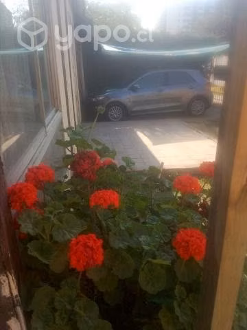 Casa - Imagen 4