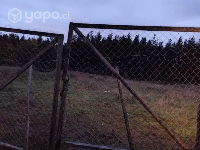 OPORTUNIDAD ÚNICA Parcela sector rió Chol-Chol