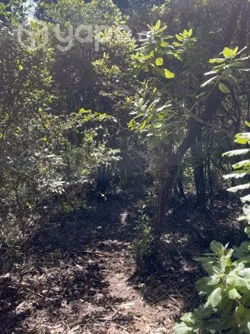 terreno camino al club militar - Imagen 4