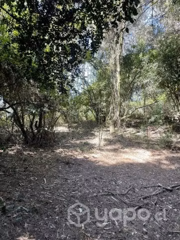 terreno camino al club militar - Imagen 6