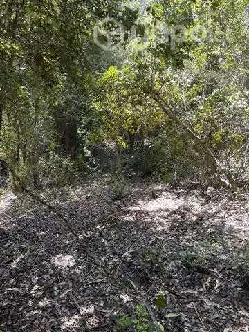 terreno camino al club militar - Imagen 5