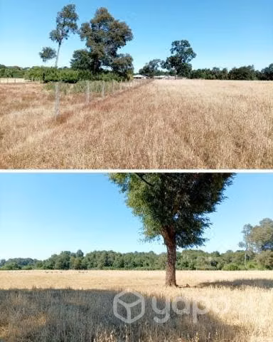 Terreno en el sur