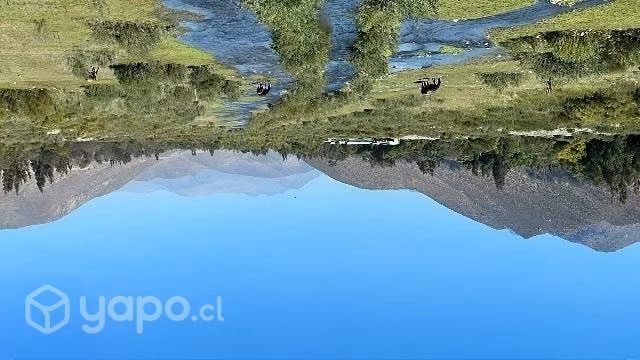 Mi casa mi campo