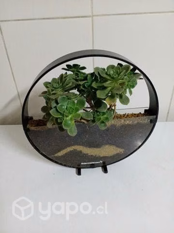 Artesanías en acero suculenta