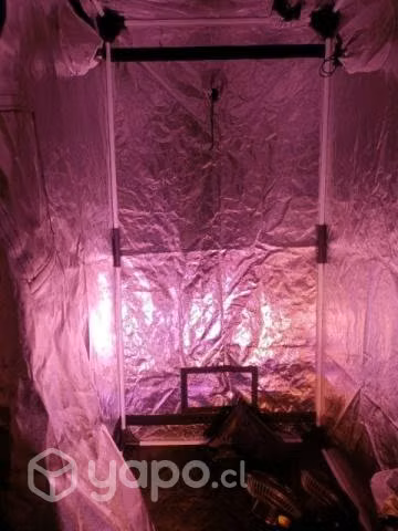 Indoor apollo 6 - Imagen 3