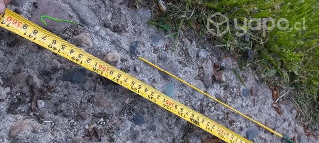 Caña para pesca con mosca