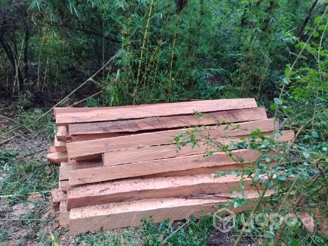 160 Estacas pellin