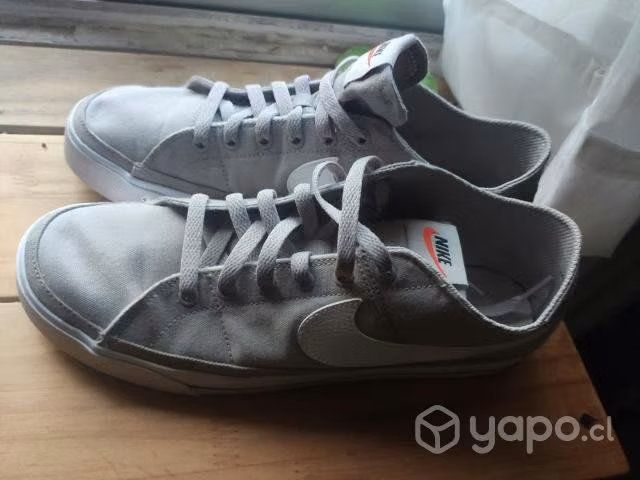 Zapatilla Nike