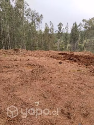 Se vende terrenito
