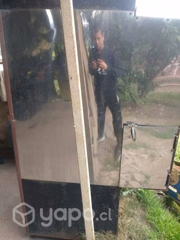 asado máquina de pollo