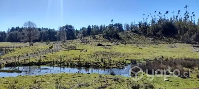 Parcela en Vilcún - Imagen 2