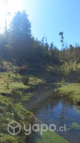 Parcela en Vilcún - Imagen 7