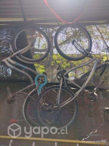 Bicicletas - Imagen 3
