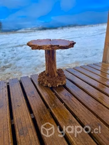Mesa con pecotra