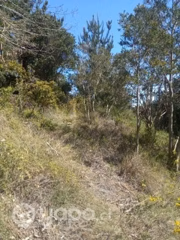 Terreno 7 mil metros cuadrado