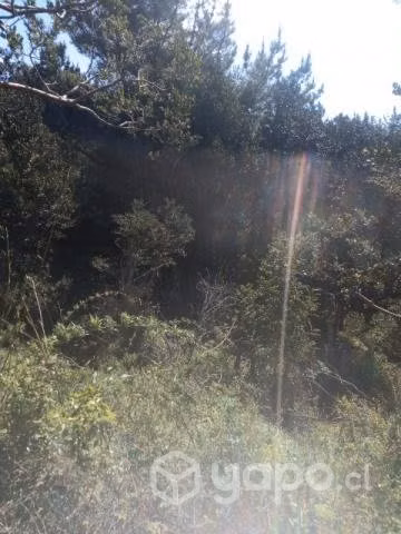 Terreno 7 mil metros cuadrado